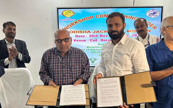 ପଣସ ଚାଷ ପାଇଁ ବୁଝାମଣା