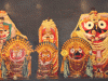 Puri Sacred Wood Not Used For Digha Idols