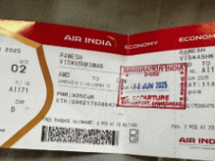 Miracle In Seat 11A