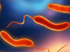 Odisha Battles Endemic Cholera
