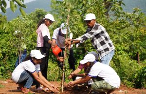 ବେଦାନ୍ତ ଲଗାଇବ ଲକ୍ଷେରୁ ଅଧିକ ଫଳଗଛ