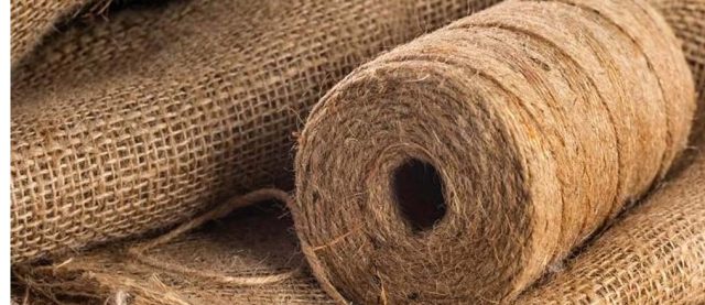 ଓଡ଼ିଶାରେ ବିପନ୍ନ ଝୋଟ ଶିଳ୍ପ