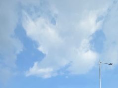 Odisha Gripped By Bandh