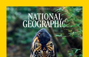 Similipal Black Tigers Make Nat Geo Cover