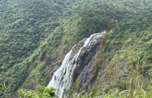 ପର୍ଯ୍ୟଟକଙ୍କ ପାଇଁ ଖୋଲିଲା ଶିମିଳିପାଳ