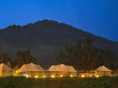 Talabandha Orchards Calling!