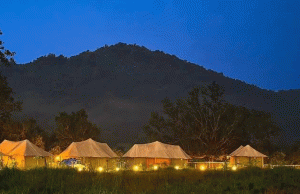 Talabandha Orchards Calling!