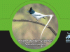 Birdwatching Treat@Debrigarh