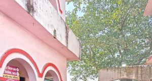 Bihar Votes; Big Shots in Fray