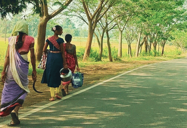 Peace Returns Malkangiri