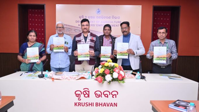 ସୁଯୋଗ ସୃଷ୍ଟି କରୁଛି ଜୈବିକ କୃଷି