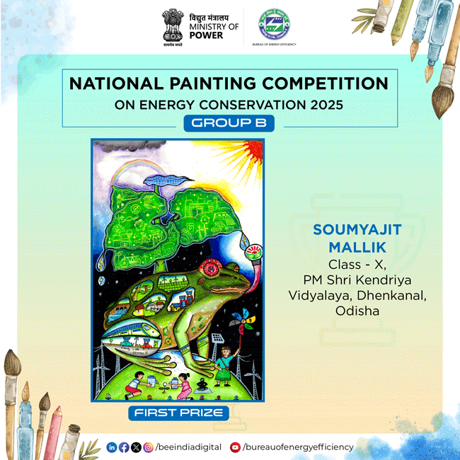 Mallik Wins Power Prize