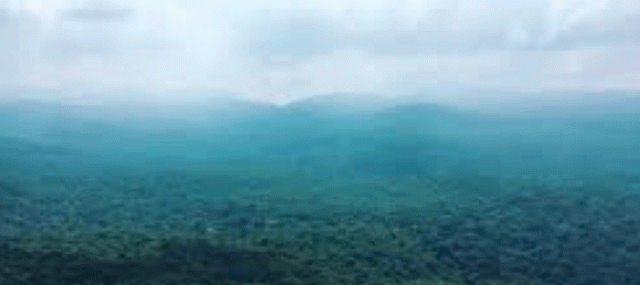 Odisha Cold Wave: Similipal Hits 3°C