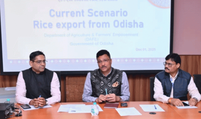 Brainstorming On Rice Export