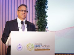 Green Transition Needs PPP Balance