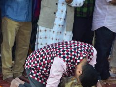 Sacred Wood & Divine Will