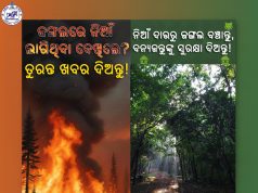Odisha: Guarding Greenery