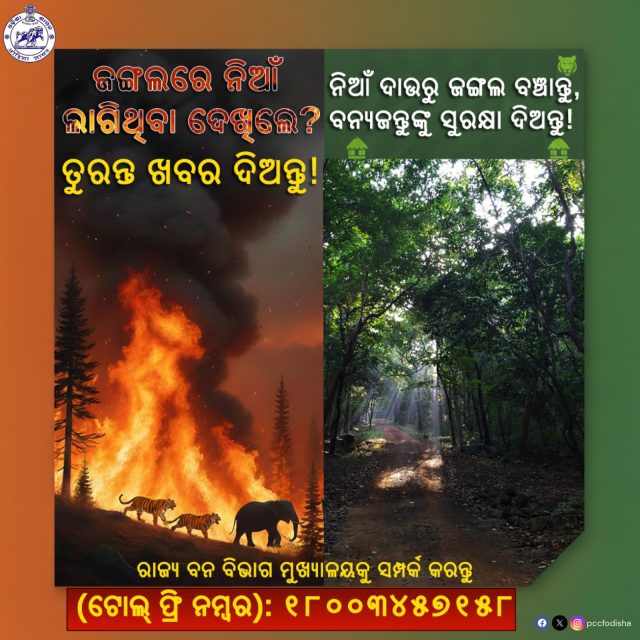 Odisha: Guarding Greenery