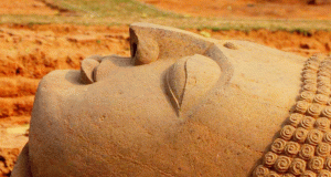 World Class Firms Bid For Buddhist Circuit Project