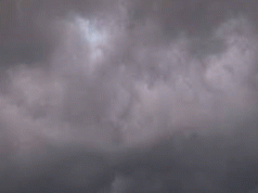 Alert On Kalbaisakhi