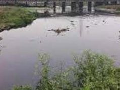 ରାଜଧାନୀକୁ ବିପଦ ପ୍ରଦୂଷିତ ଗଙ୍ଗୁଆ