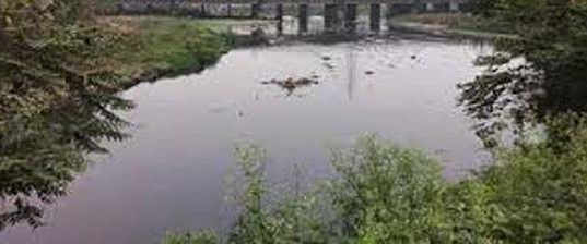 ରାଜଧାନୀକୁ ବିପଦ ପ୍ରଦୂଷିତ ଗଙ୍ଗୁଆ