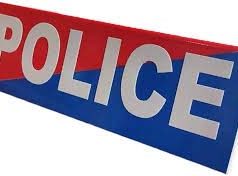 ନମ୍ବର ପ୍ଲେଟରେ ଲାଗିପାରିବିନି ପୋଲିସ ଲୋଗୋ