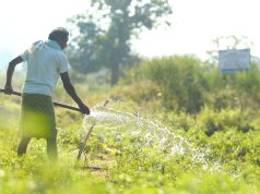 କଳାହାଣ୍ଡିରେ ଜଳସେଚନକୁ ସୁନିଶ୍ଚିତ କରିଛି ବେଦାନ୍ତ