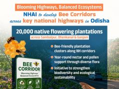 NHAI Sets Bee Corridor