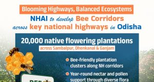 NHAI Sets Bee Corridor