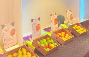 India Mango In Iceland