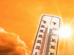 Odisha Swelters Under Humidity