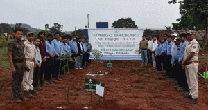 MGM Drives Van Mahotsav