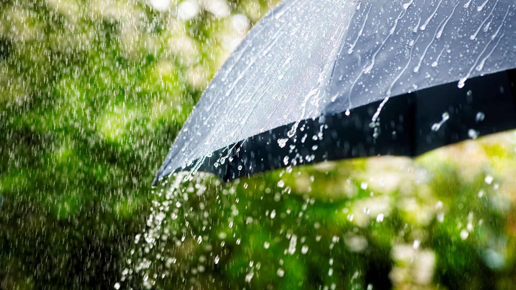 1RAIN