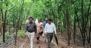 HOFF Reviews Sambalpur Forestry