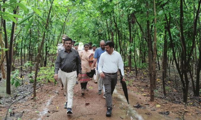 HOFF Reviews Sambalpur Forestry
