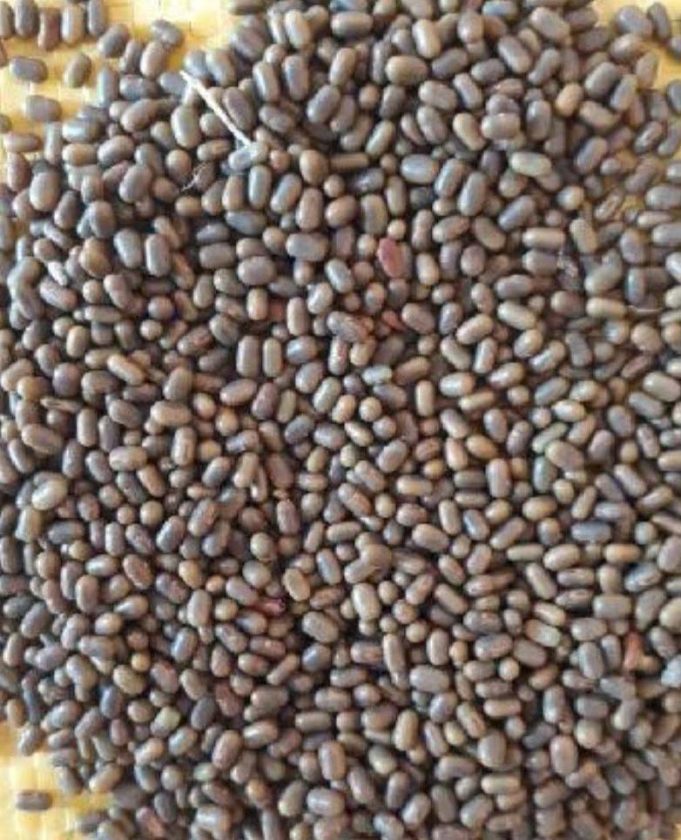 ସବୁଜ ସାର ର ଆକାଶଛୁଆଁ ଦର