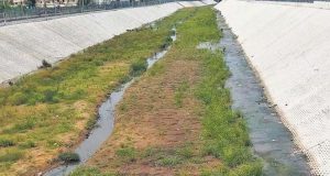 କେନାଲରେ ପାଣି ନଥିବାରୁ ଚାଷ କାର୍ଯ୍ୟ ବାଧାପ୍ରାପ୍ତ