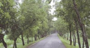 ଗ୍ରିନ୍ କରିଡର ସୃଷ୍ଟି ପାଇଁ ୪୧୬ କୋଟି ବ୍ୟୟ
