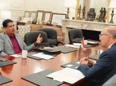 Sarangi Drives India’s Renewable Push